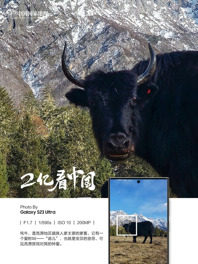 看見不一樣的原始森林