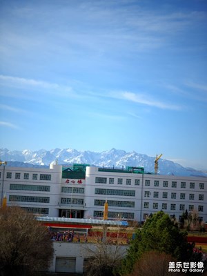 隨手拍 21