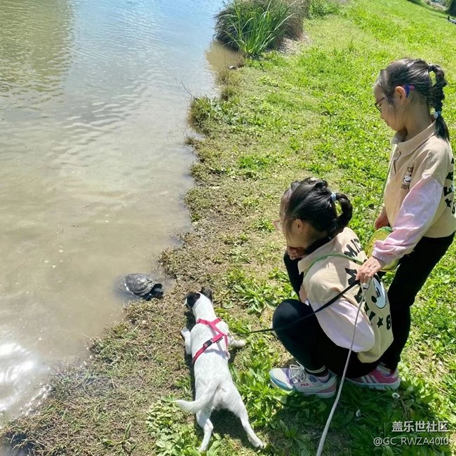 【最美四月天】窮游