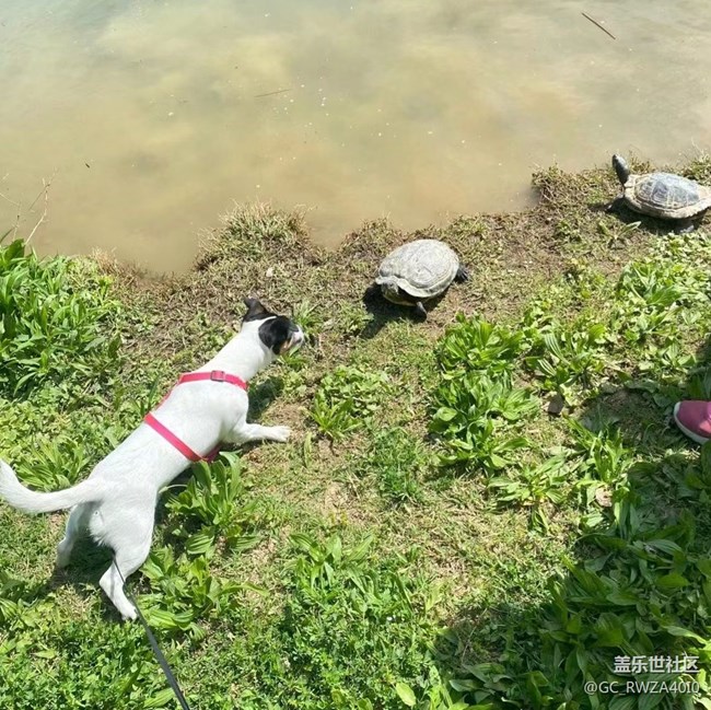 【最美四月天】窮游