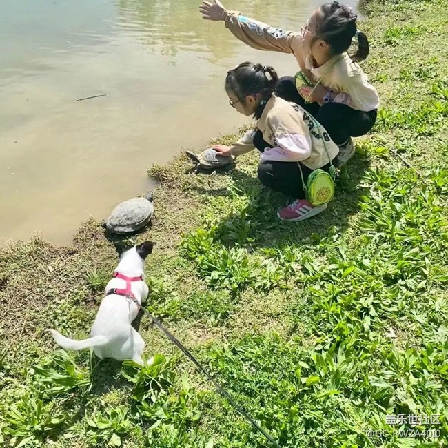 【最美四月天】窮游