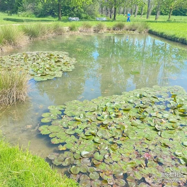 【最美四月天】窮游