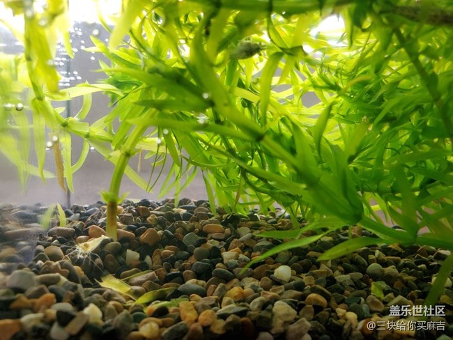 【最美四月天】+綠色森林