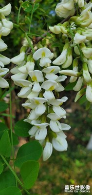 繼續(xù)