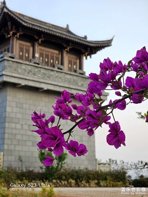 學(xué)習(xí)拍照