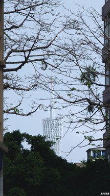 【相約春天】濃郁的文化氣息和歷史的痕跡