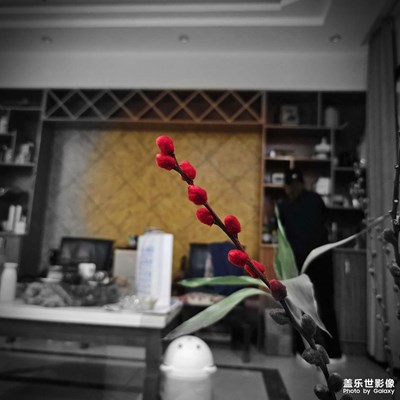 隨手拍
