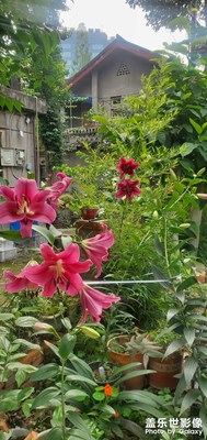 夏天