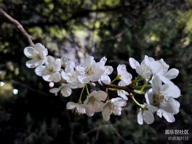三星Galaxy Z Flip4 夜拍模式隨拍