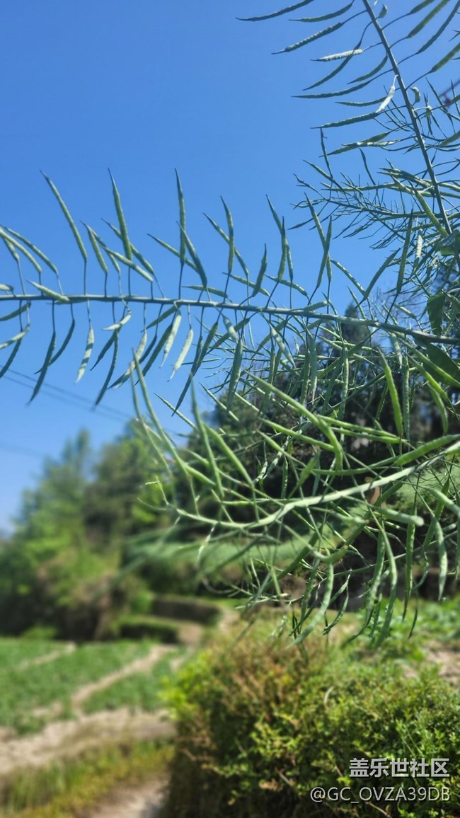 【初夏味道】將近夏天