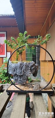 小品