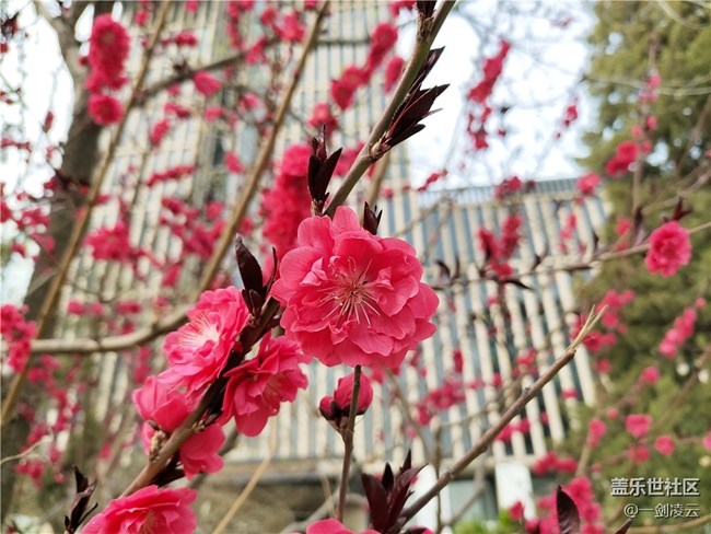 【最美四月天】北京的春天