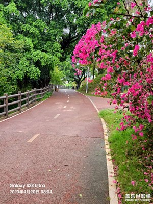 細(xì)雨,閑花