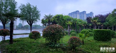 【相約春天】春雨綿綿