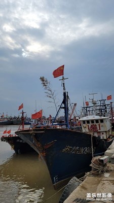 海頭.碼頭