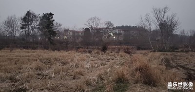 這是什么