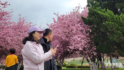 【相約春天】+春天相會