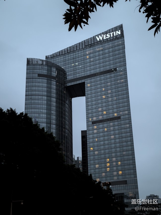 【嫩芽與春花】從夕陽到夜幕