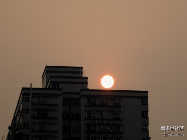 【嫩芽與春花】從夕陽到夜幕