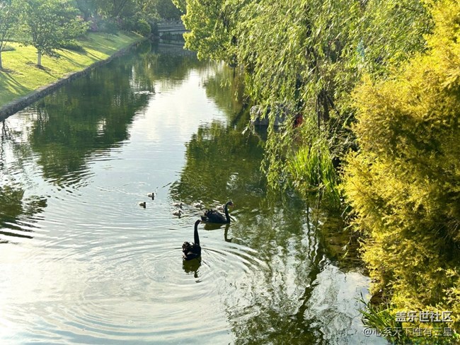 【最美四月天】不負(fù)春光與時(shí)行