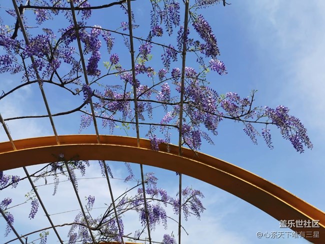 【最美四月天】不負(fù)春光與時(shí)行