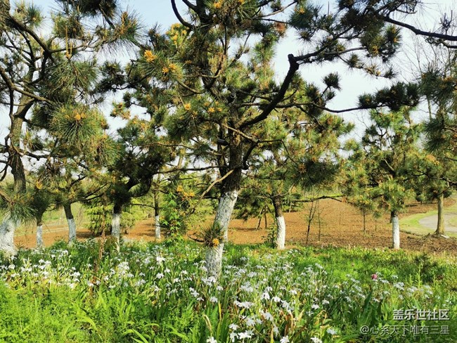 【最美四月天】不負(fù)春光與時(shí)行