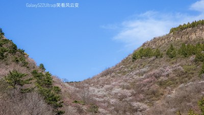 【相約春天】+ 桃花山谷