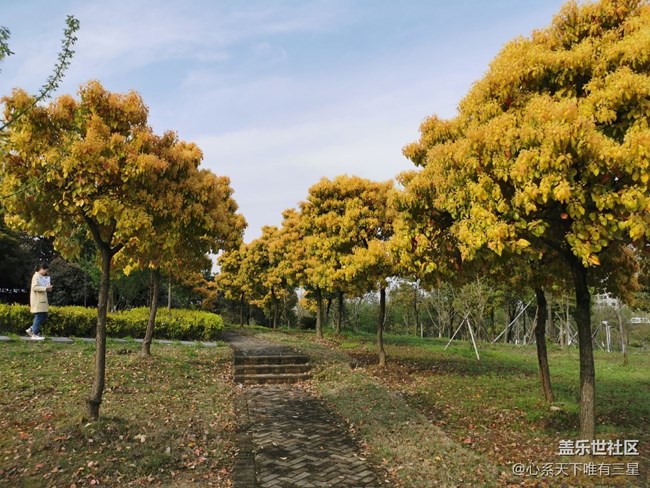 【最美四月天】不負(fù)春光與時(shí)行