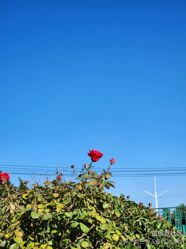 用Galaxy Z Fold4拍攝的小城風光