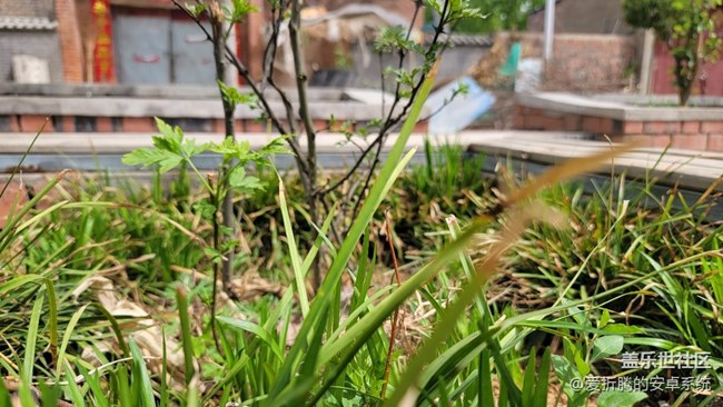 三星手機(jī)拍照