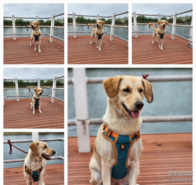 三星相冊一鍵拼圖這個功能你一定要了解?。。? /></span></p><p><span style="font-weight: inherit;"><img class="ueditor_img" src="http://www.samsungmembers.cn//Upload/IMAGES/23/0425/5c05d2b130d64b44bf79c5f157562162_650x0.jpg" title=