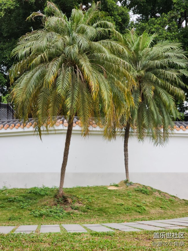 【春色滿園】春光