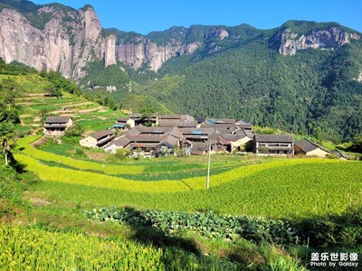 【至生活】+快樂出游