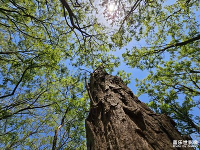 濱州鄒平雕窩裕風(fēng)景區(qū)
