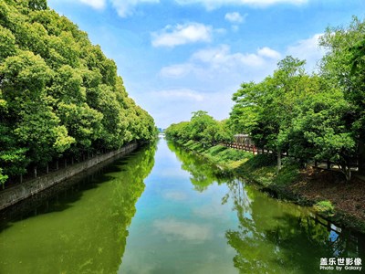 隨手拍