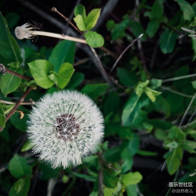 【山野之間】嶺上日出