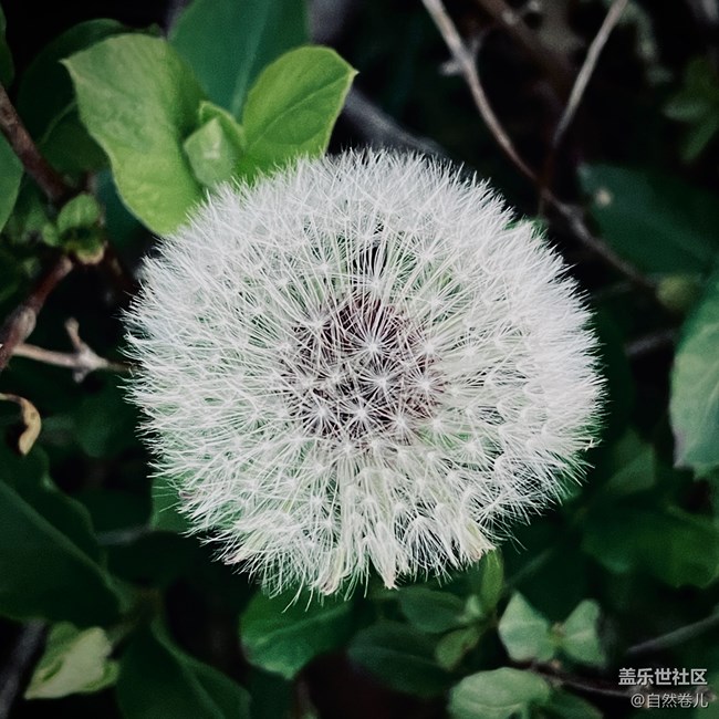 【山野之間】嶺上日出