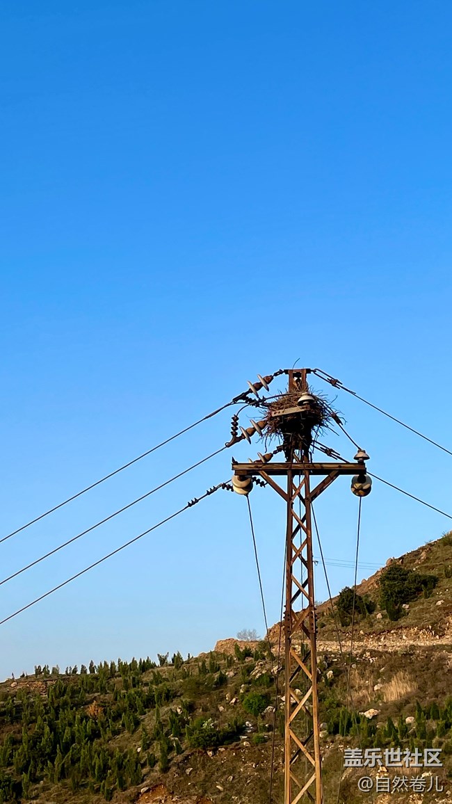 【山野之間】嶺上日出