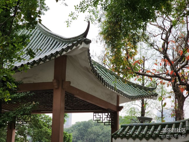 【春色滿園】春光