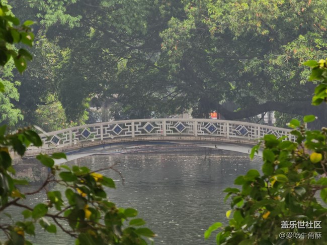 【春色滿園】春光