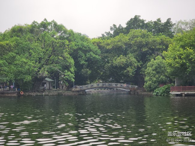 【春色滿園】春光