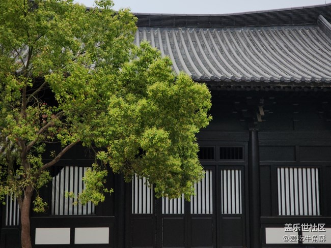 【打工人，520】認(rèn)真生活