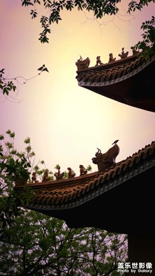 走走停停，風(fēng)景總在不經(jīng)意間??????