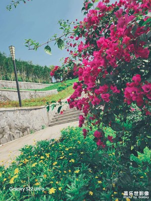 【我的五一】春暖花開