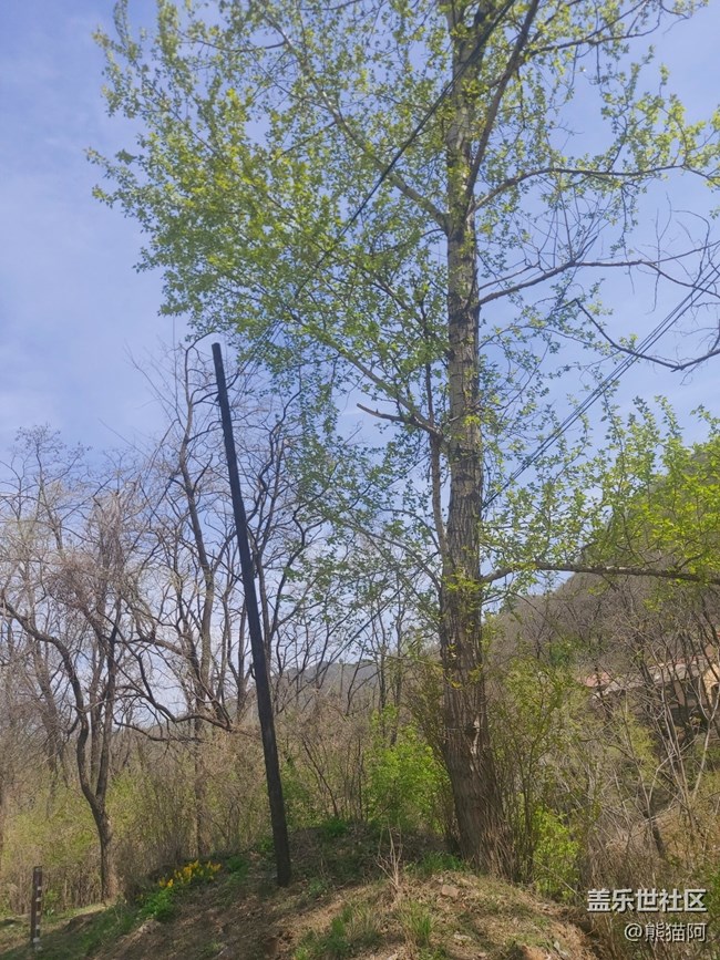 #路過(guò)風(fēng)景線——山巒景色