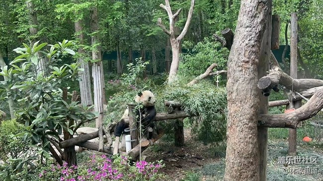 #路過風景線——動物園