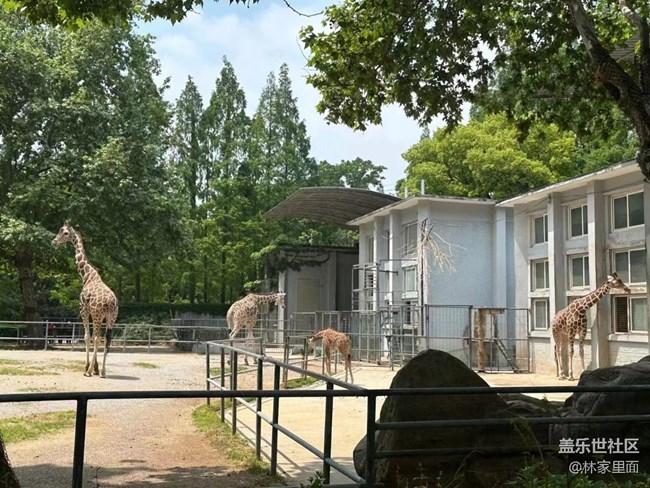 #路過風景線——動物園