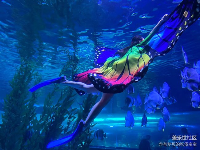 [回顧貼]撫順皇家極地海洋世界之旅上篇