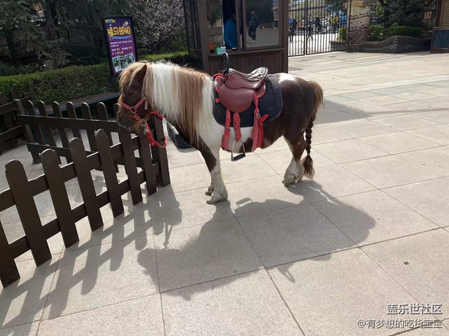 [回顧貼]撫順皇家極地海洋世界之旅上篇