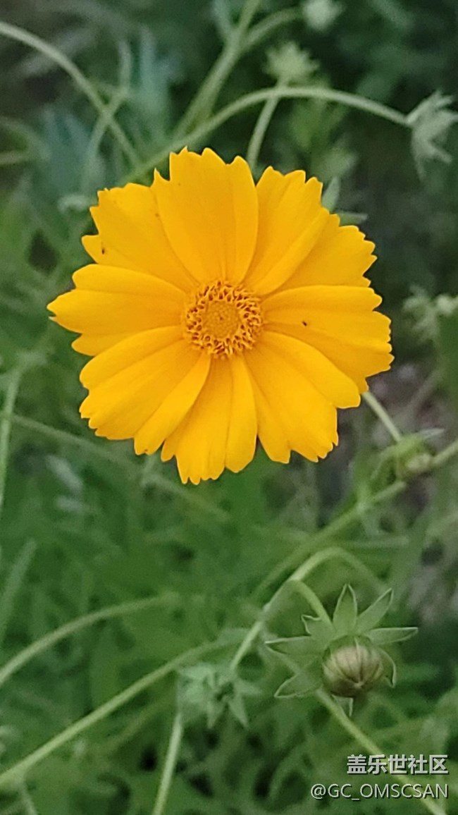 N20U電池還行吧！